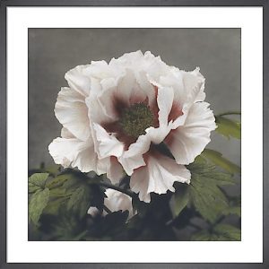 Relaxed Moment in a Sophisticated Space