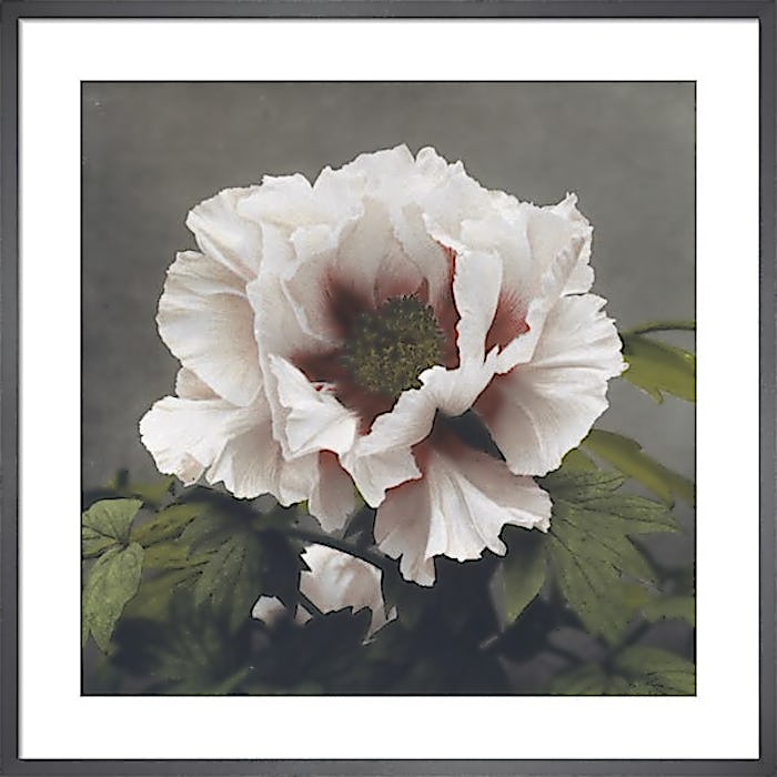 Relaxed Moment in a Sophisticated Space - Copy FX63