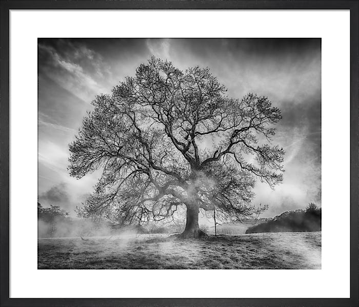 Soft Playful Pose - Copy zZRK