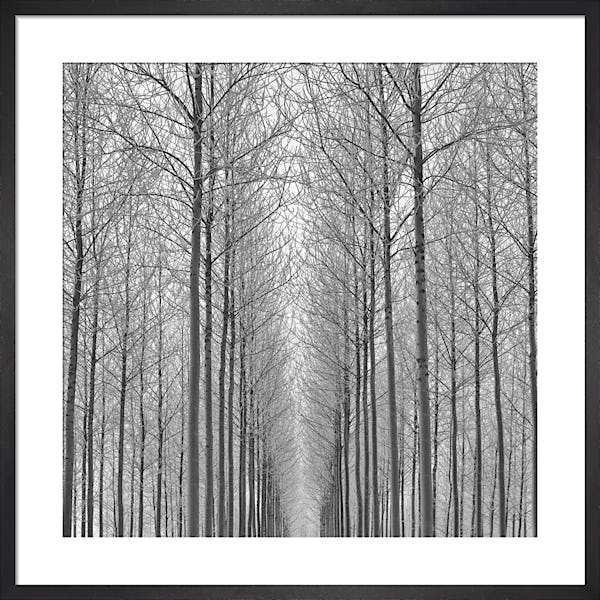 Soft Bunny Aesthetic - Copy mAac