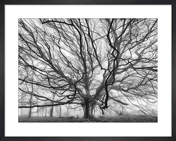 Soft Glow Portrait. - Copy wSe4