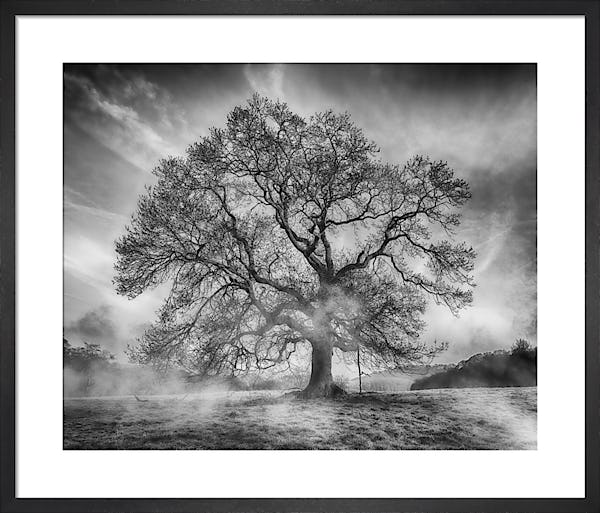 Calm Café Moment - Copy syy0