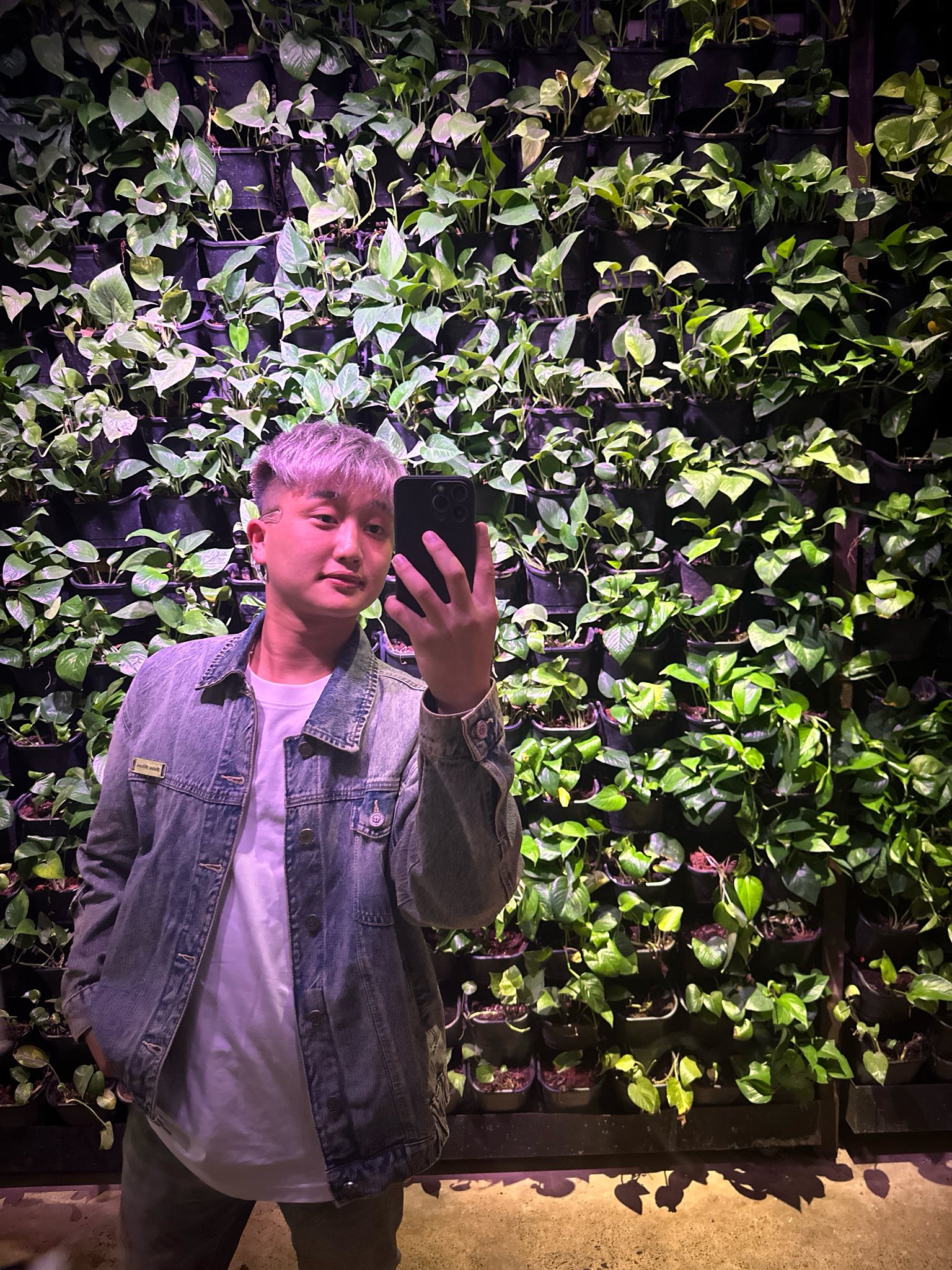 Mirror Selfie with a Vertical Garden Backdrop