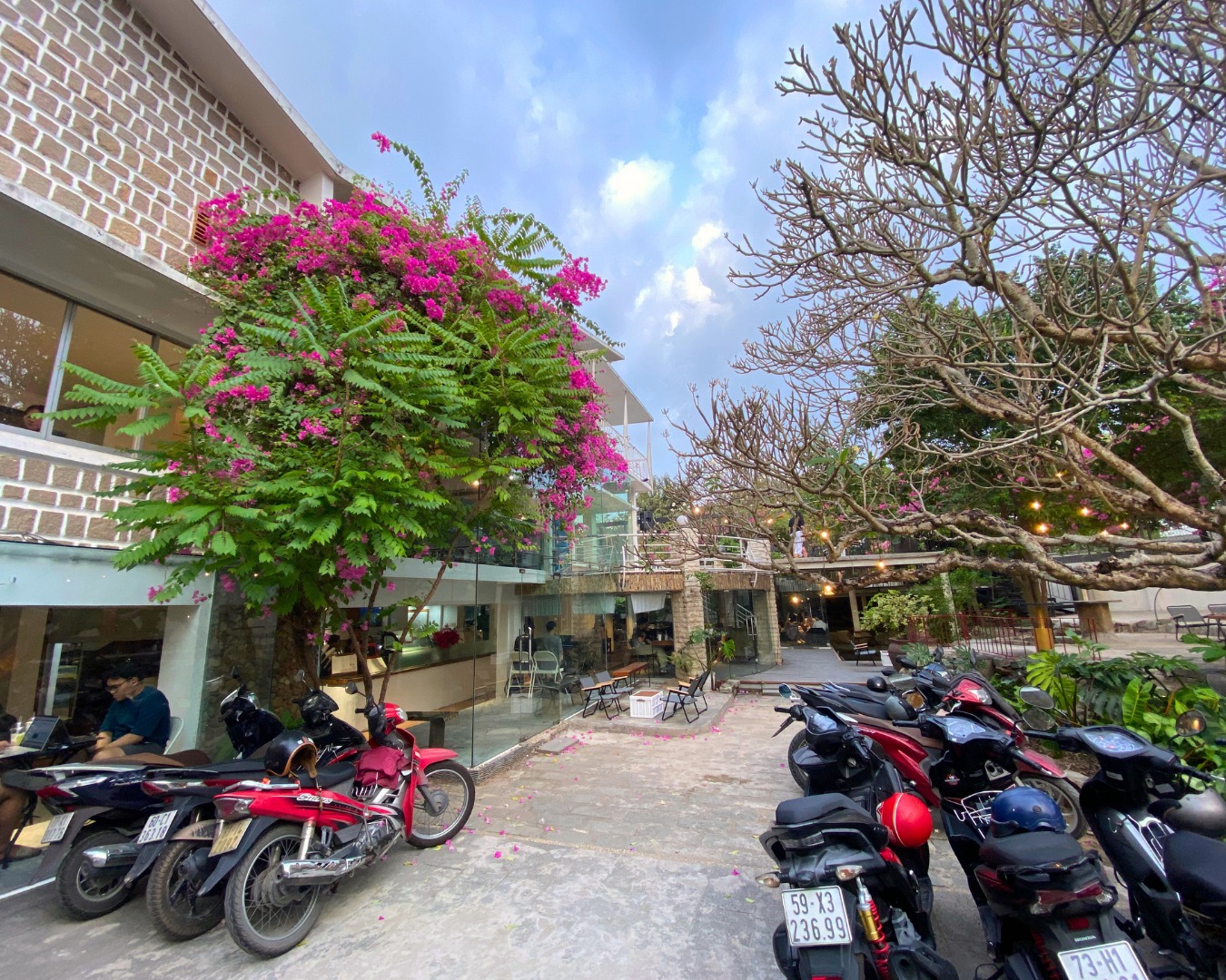 Charming Café Corner with Bougainvillea Bloom